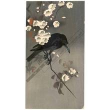 Shoson Ohara: Crow on a flowering cherry branch (title not original) - Austrian Museum of Applied Arts