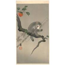 Shoson Ohara: Monkey sitting on a Persimmon tree (title not original) - Austrian Museum of Applied Arts