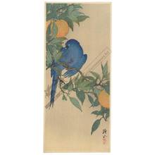 Ito Sozan: Blue parrot on an orange tree (title not original) - Austrian Museum of Applied Arts