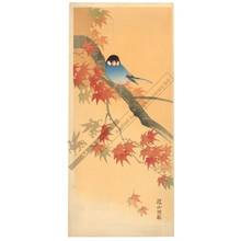 Ito Sozan: Blue bird on maple tree (title not original) - Austrian Museum of Applied Arts