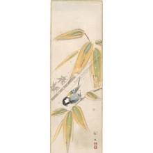無款: Titmouse on bamboo (title not original) - Austrian Museum of Applied Arts