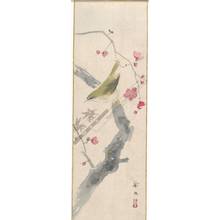 Unknown: Warbler on plum tree (title not original) - Austrian Museum of Applied Arts