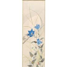 Unknown: Blue flowers (title not original) - Austrian Museum of Applied Arts