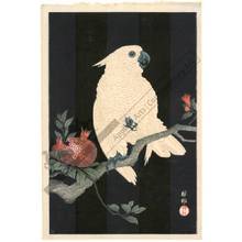Shoson Ohara: Parrot and pomegranate (title not original) - Austrian Museum of Applied Arts