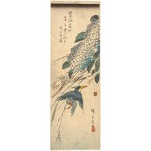 Utagawa Hiroshige: Kingfisher and hortensia (title not original) - Austrian Museum of Applied Arts