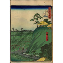 Utagawa Hiroshige II: Number 16: Irises at Horikiri - Austrian Museum of Applied Arts