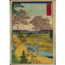 Utagawa Hiroshige: Yuhigaoka at Meguro in the eastern capital - Austrian Museum of Applied Arts
