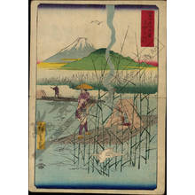 Utagawa Hiroshige: Sagami river - Austrian Museum of Applied Arts