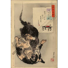 尾形月耕: Fighting between a rat and a cat (title not original) - Austrian Museum of Applied Arts