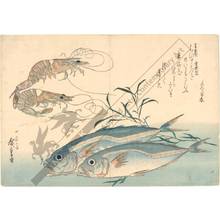 歌川広重: Horse-mackerel and prawns (title not original) - Austrian Museum of Applied Arts