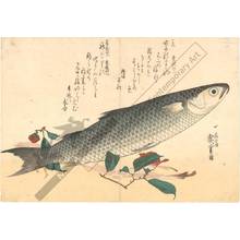 歌川広重: Grey Mackerel (title not original) - Austrian Museum of Applied Arts