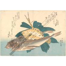 歌川広重: Flatfish and gurnards (title not original) - Austrian Museum of Applied Arts