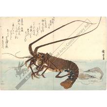 Utagawa Hiroshige: Crayfish and shrimps (title not original) - Austrian Museum of Applied Arts