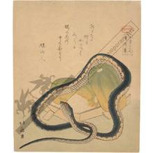 Katsushika Hokusai: Collection of stories - Austrian Museum of Applied Arts