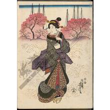 Utagawa Yoshitora: Viewing cherry blossoms (title not original) - Austrian Museum of Applied Arts