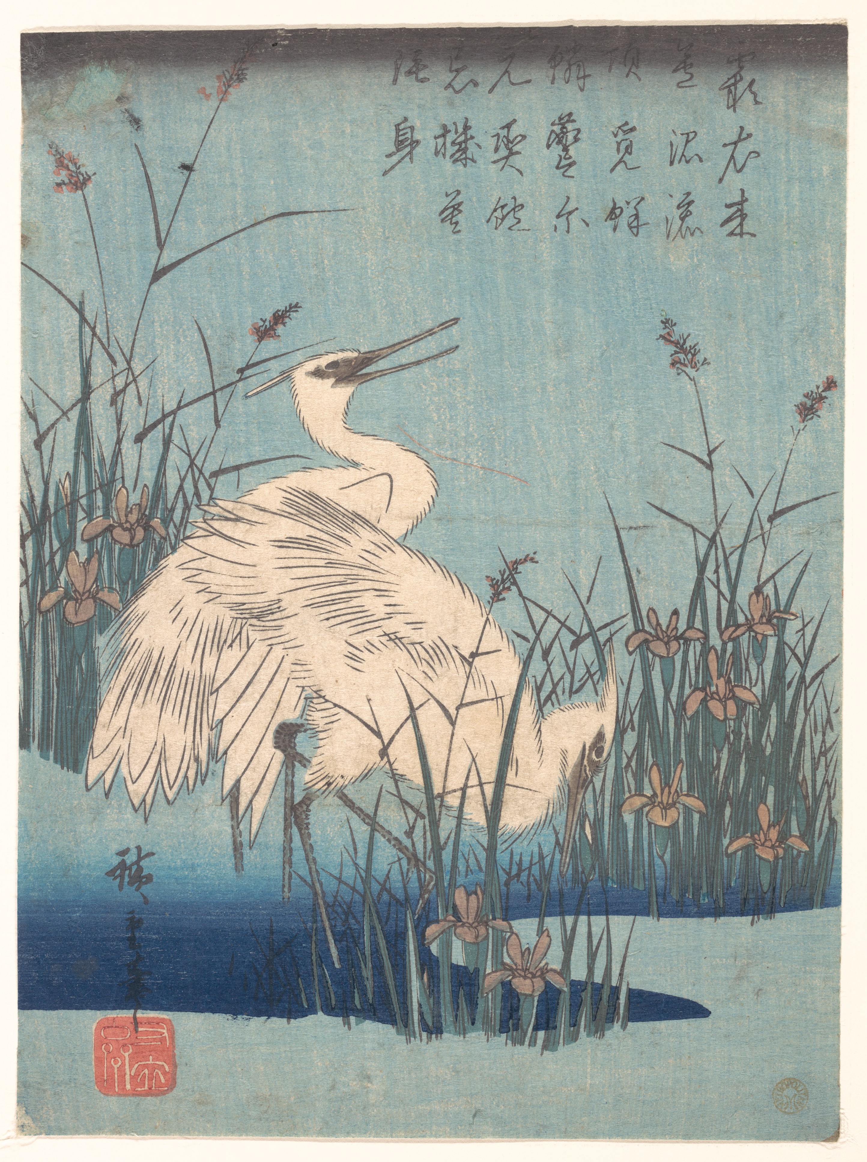 歌川広重: Egret in Iris and Grasses - メトロポリタン美術館