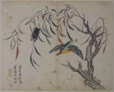 無款: Kingfisher, Cicada, and Willow Tree - メトロポリタン美術館