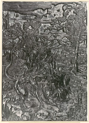 Albrecht Dürer: - メトロポリタン美術館