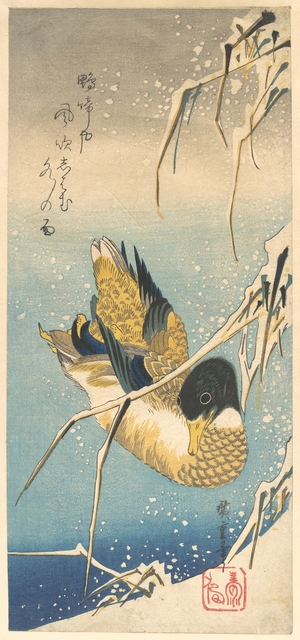 歌川広重: Mallard Duck and Snow-covered Reeds - メトロポリタン美術館