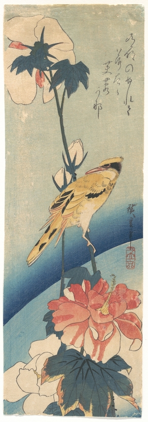 歌川広重: Crested Yellow Bird and Hibiscus - メトロポリタン美術館