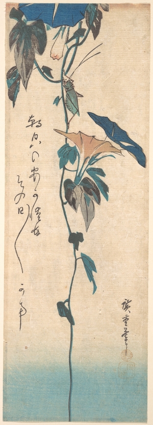 Utagawa Hiroshige: Grasshopper and Morning-glory Vine - Metropolitan Museum of Art