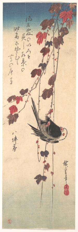 Utagawa Hiroshige: Long-tailed Tit on Autumn Ivy - Metropolitan Museum of Art