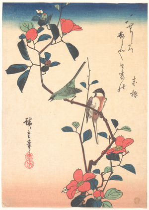 歌川広重: Japanese White Eye on a Camellia Branch - メトロポリタン美術館
