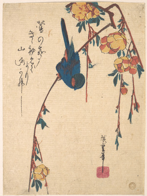歌川広重: Weeping Cherry and Bluebird - メトロポリタン美術館