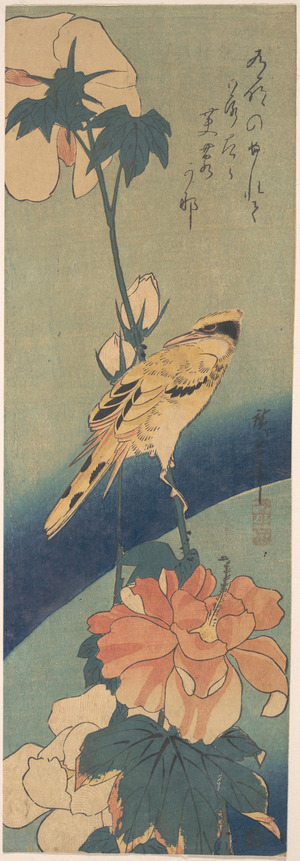 Utagawa Hiroshige: Black-naped Oriole Perched on a Stem of Rose Mallow - Metropolitan Museum of Art