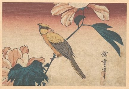 Utagawa Hiroshige: Hibiscus Mutabilis and Jay - Metropolitan Museum of Art