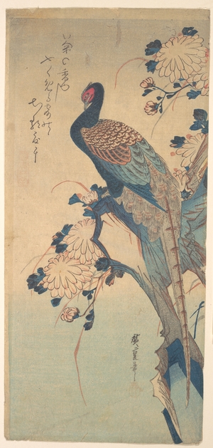 Utagawa Hiroshige: Pheasant with Chrysanthemums - Metropolitan Museum of Art