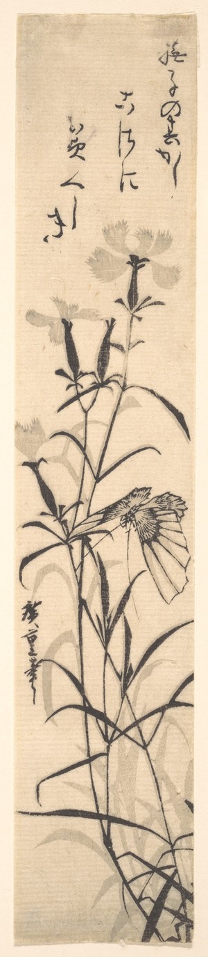 歌川広重: Black and White Print of Butterfly and Flower (a Pink) - メトロポリタン美術館
