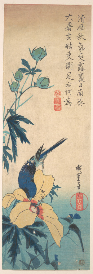 Utagawa Hiroshige: Hibiscus and Bluebird - Metropolitan Museum of Art