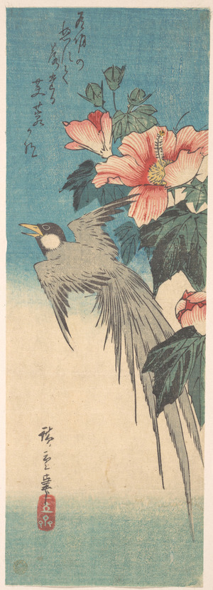 Japanese Print "Hibiscus Mutabilis and Long-Tailed Bird" by Utagawa Hiroshige, 歌川広重 (Utagawa Hiroshige (Japanese, 1797–1858))