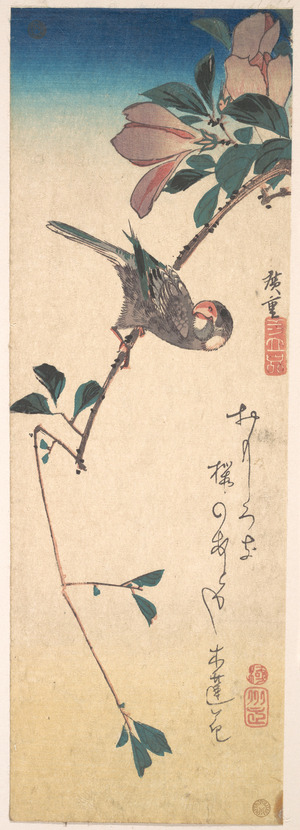 Utagawa Hiroshige: Purple Magnolia and Hornbill - Metropolitan Museum of Art