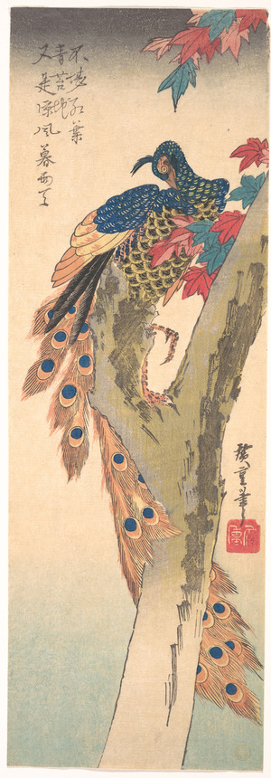 Utagawa Hiroshige: Peacock Perched on a Maple Tree - Metropolitan Museum of Art