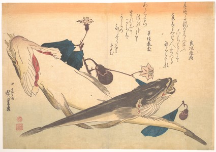 Utagawa Hiroshige: Kochi Fish with Eggplant, from the series Uozukushi (Every Variety of Fish) - Metropolitan Museum of Art