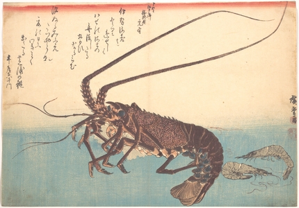 Utagawa Hiroshige: Ise-ebi and Shiba-ebi, from the series Uozukushi (Every Variety of Fish) - Metropolitan Museum of Art