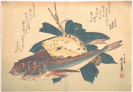 歌川広重: Kanagashira and Karei Fish, from the series Uozukushi (Every Variety of Fish) - メトロポリタン美術館