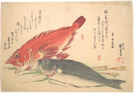 歌川広重: Isaki and Kasago Fish, from the series Uozukushi (Every Variety of Fish) - メトロポリタン美術館