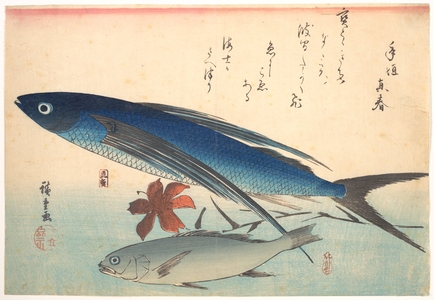 Utagawa Hiroshige: Tobiuo and Ishimochi Fish, from the series Uozukushi (Every Variety of Fish) - Metropolitan Museum of Art