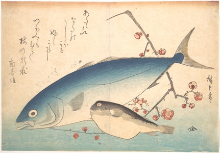 Utagawa Hiroshige: Fugu and Inada Fish, from the series Uozukushi (Every Variety of Fish) - Metropolitan Museum of Art