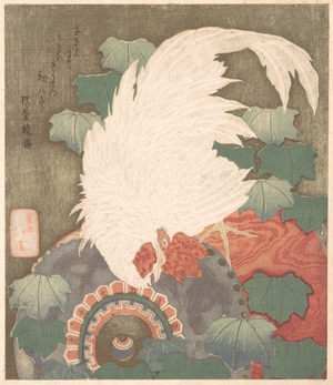 Totoya Hokkei: Cock on Drum - Metropolitan Museum of Art