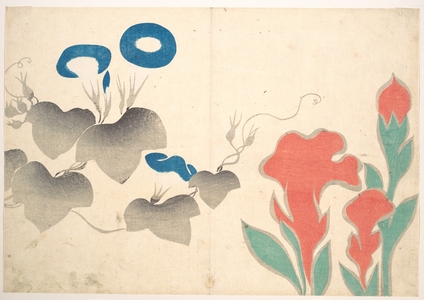 Ogata Kôrin: Design of Morning–glory and Other Flowers - Metropolitan Museum of Art