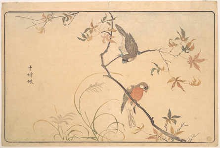 Keisai: Jûshimatsu (Begalee or a society finch) - Metropolitan Museum of Art