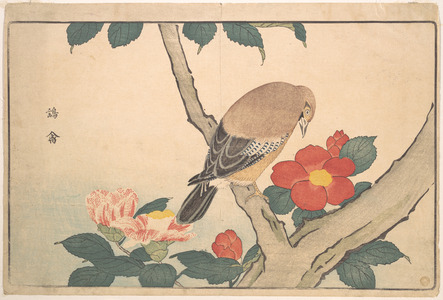 Keisai: Camellias with a Bird - メトロポリタン美術館
