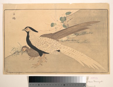 Keisai: Bai xian - メトロポリタン美術館