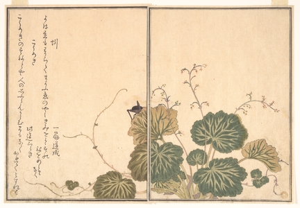 Kitagawa Utamaro: Black Cricket and Earthworm on a Leaf of Begonia, Plate from A Picture Book of Selected Insects (Ehon Mushi Erami) - Metropolitan Museum of Art