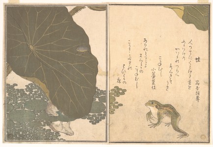 喜多川歌麿: Gold Beetle and Frogs (Koganemushi and Kaeru), from Picture Book of Selected Insects with Crazy Poems (Ehon Mushi Erabi) - メトロポリタン美術館