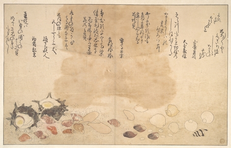 Kitagawa Utamaro: Shells under Water - Metropolitan Museum of Art